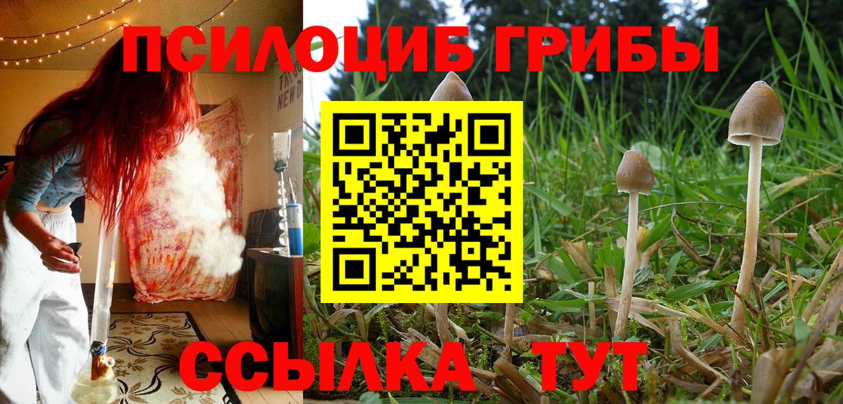 Галлюциногенные грибы ЛСД  Псилоцибиновые грибы Cubensis  Вход с VPN  Екатеринбург 
