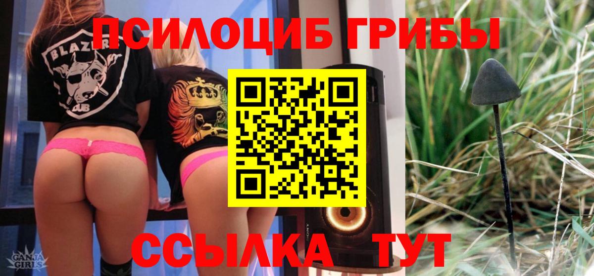 Псилоцибиновые грибы мухоморы Екатеринбург